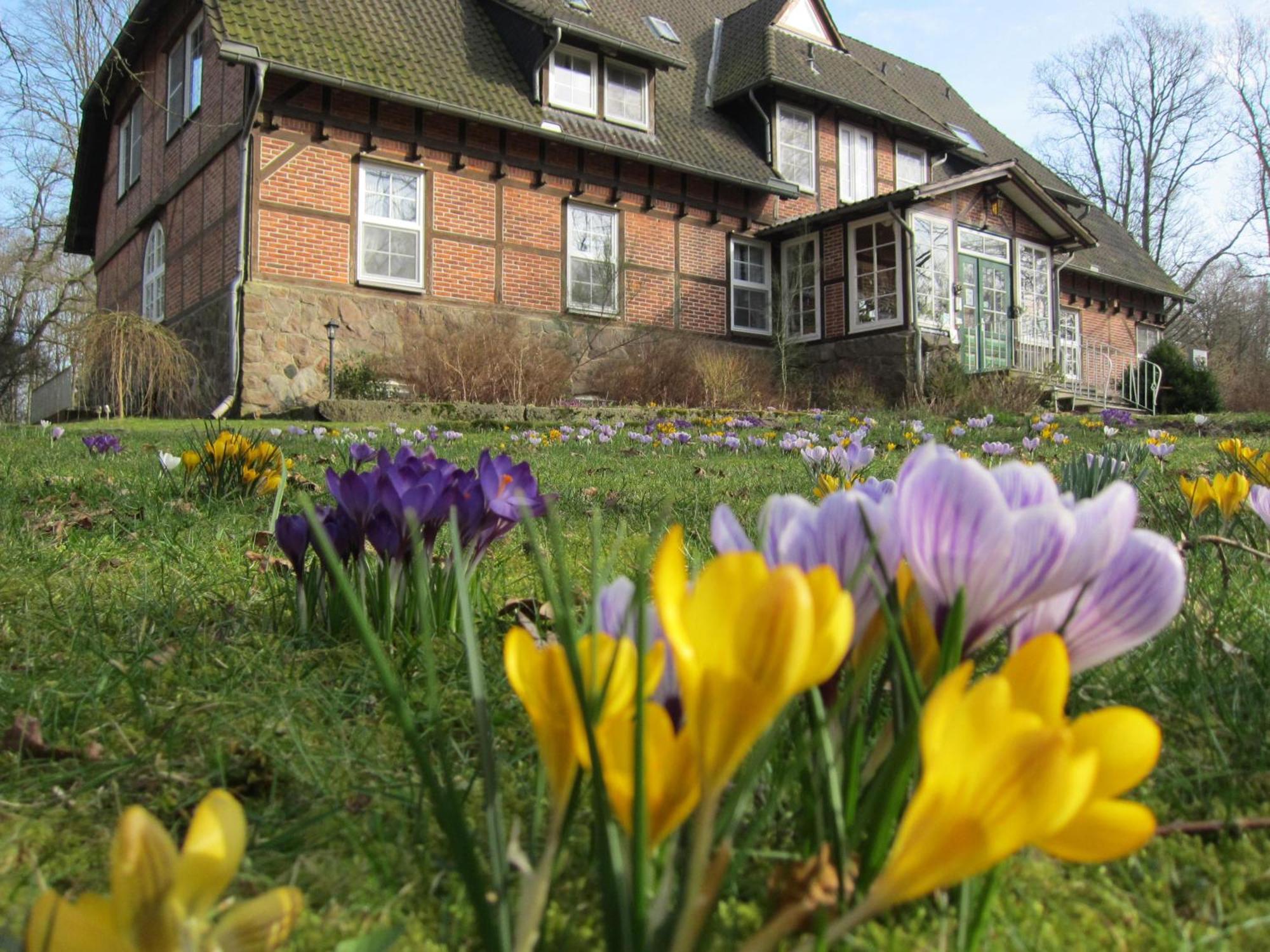 Haus Heidetal Bed & Breakfast Bispingen Exterior photo